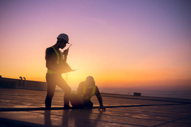 Best Metal Roofing Contractor  in Raymond, IL
