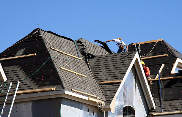 Best Roof Gutter Cleaning  in Raymond, IL