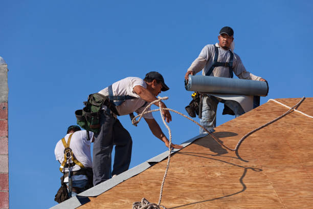 Best Residential Roofing Contractor  in Raymond, IL